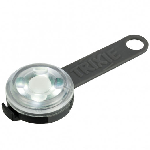 Hundeleine – USB Flasher für Hunde
