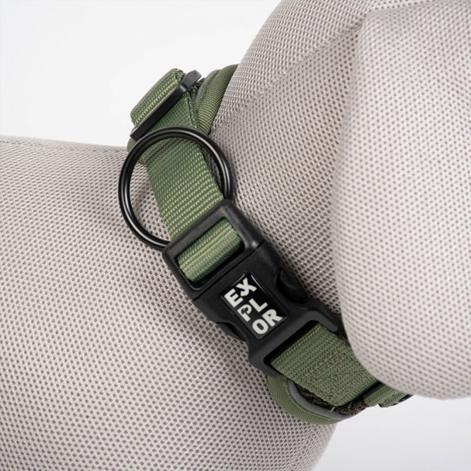 Hundehalsband – EXPLOR Ultimate Fit Comfy Classic – Bild 7
