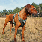 No-Pull-Geschirr für Hunde – EXPLOR Ultimate Fit – Bild 29