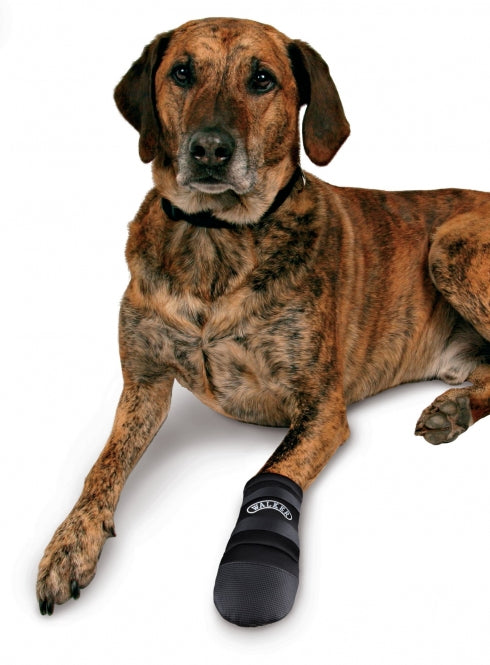 Pfotenpflege für Hunde – Walker Care Pfotenschutz-Stiefel – Bild 4