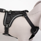 No-Pull-Geschirr für Hunde – EXPLOR Ultimate Fit – Bild 22