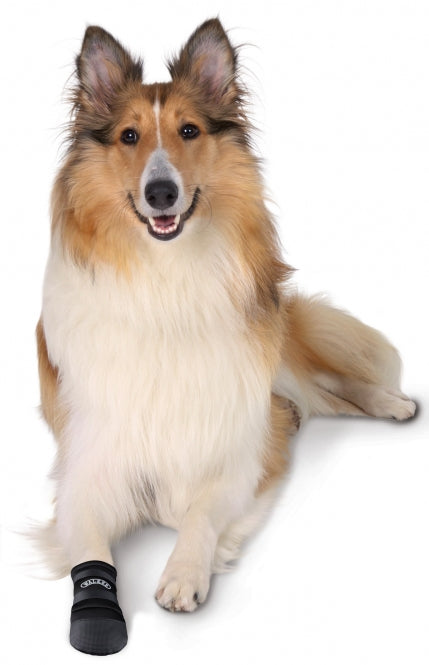 Pfotenpflege für Hunde – Walker Care Pfotenschutz-Stiefel – Bild 2