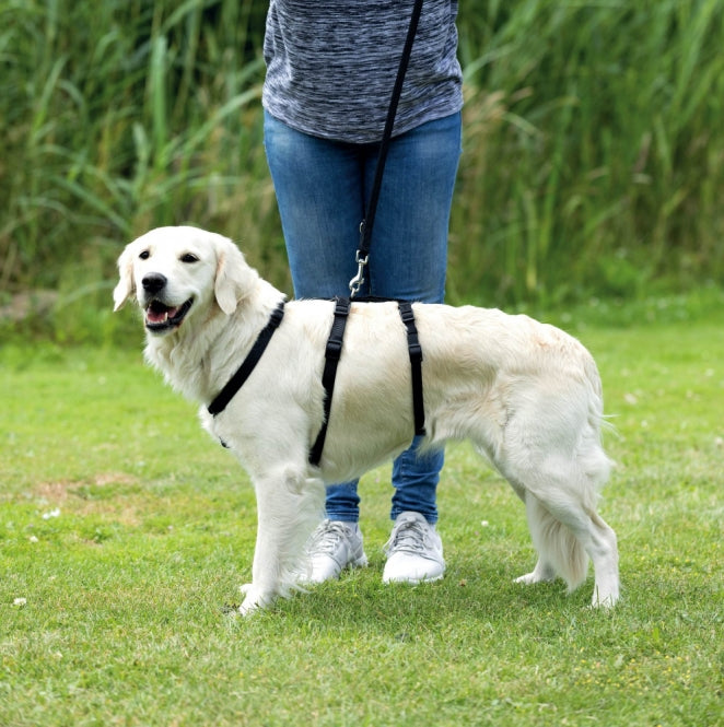Panikgeschirr für Hunde – Stay – Bild 2