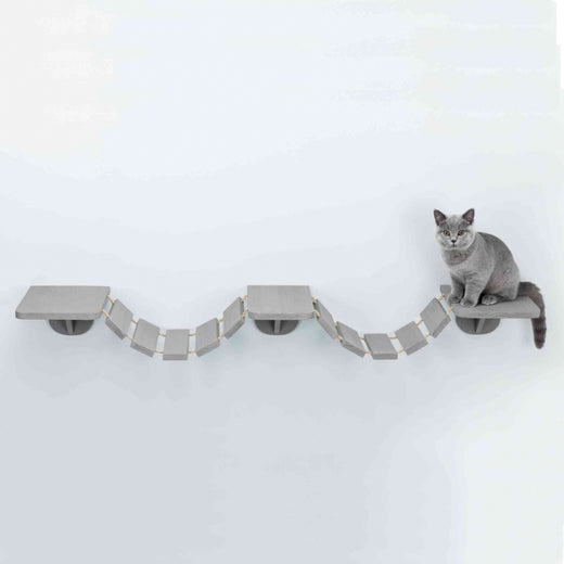 Kletterwand für Katzen – Kletterleiter zur Wandmontage