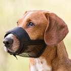 Maulkorb für Hunde – mit Netzeinsatz