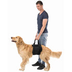 Hundepflege – Hebehilfe für Hunde – Bild 2