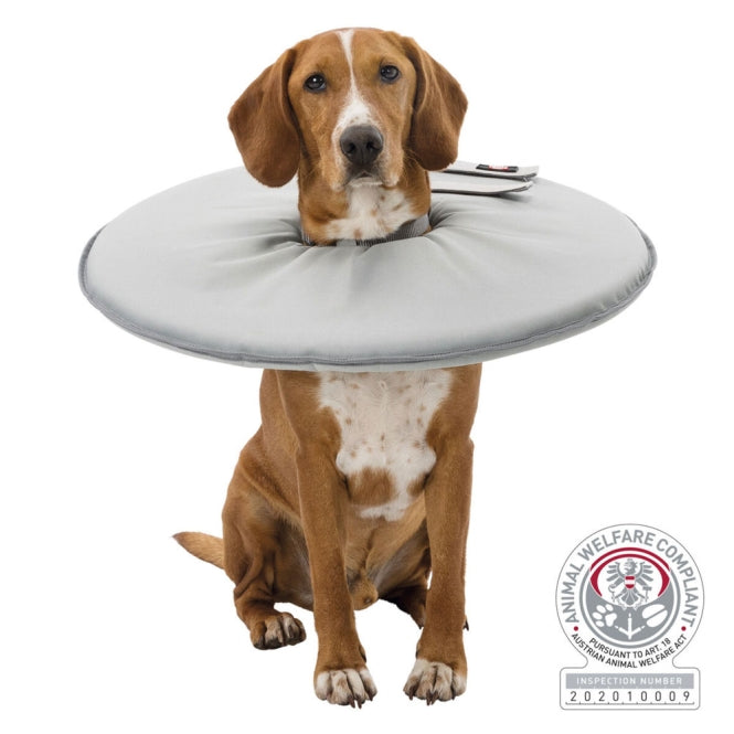 Schutzkragen für Hunde – 