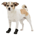 Pfotenschutzschuhe für Hunde – Walker Active – Bild 5