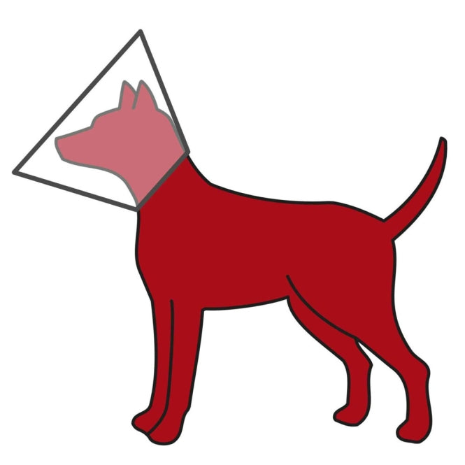 Schutzkragen für Hunde und Katzen – mit Klettverschluss – Bild 3
