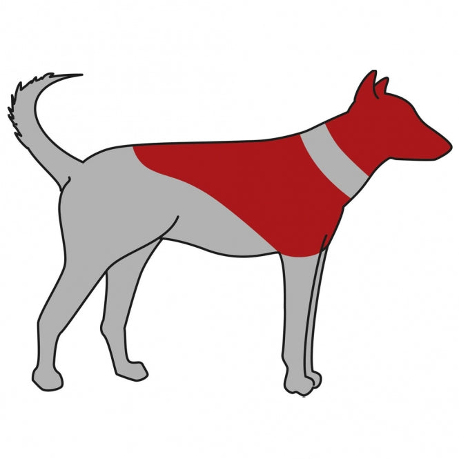 Schutzkragen für Hunde – aufblasbar – Bild 7