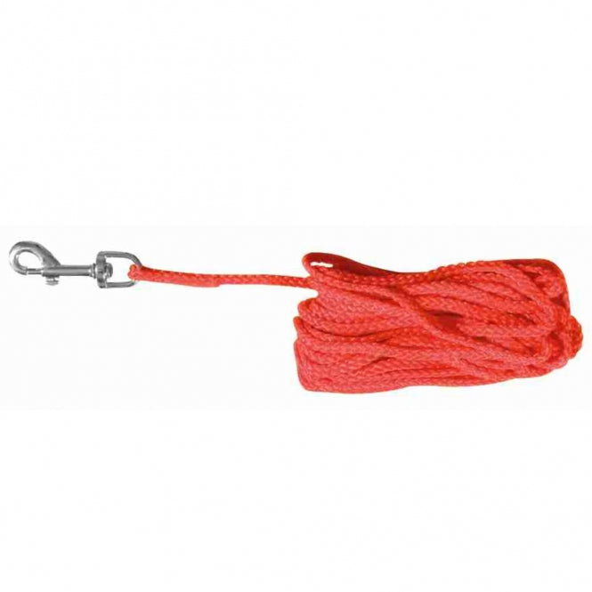 Schleppleine für Hunde – aus Nylon