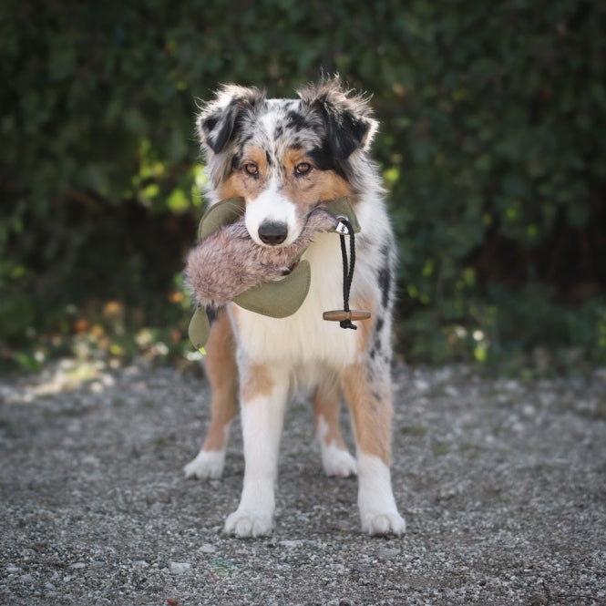 Futterdummy für Hunde – Duck mit Kunstfell – Bild 5