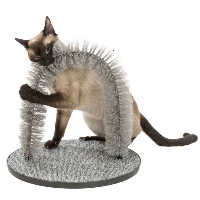 Beschäftigungsspielzeug für Katzen – Massage- und Fellpflegebogen – Bild 2