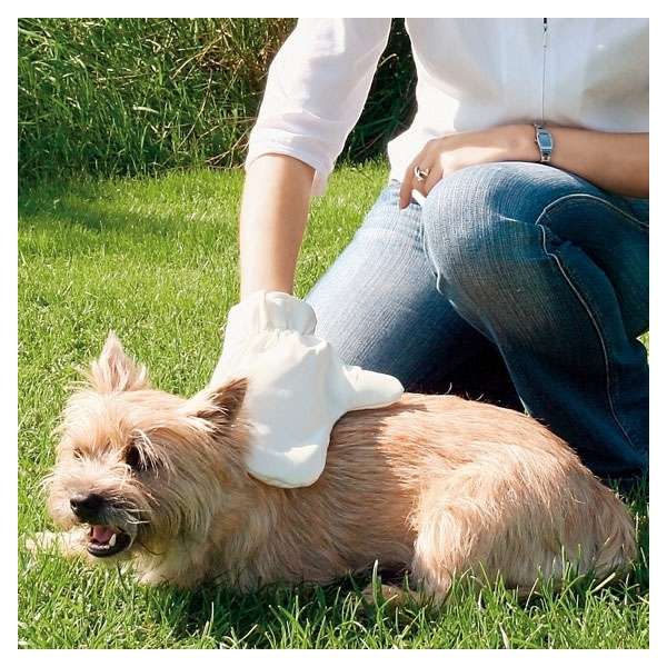Fellpflege-Handschuh für Hunde und Katzen –  – Bild 2