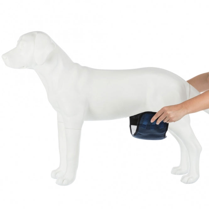 Hundewindel – Windeln für Rüden, waschbar – Bild 6