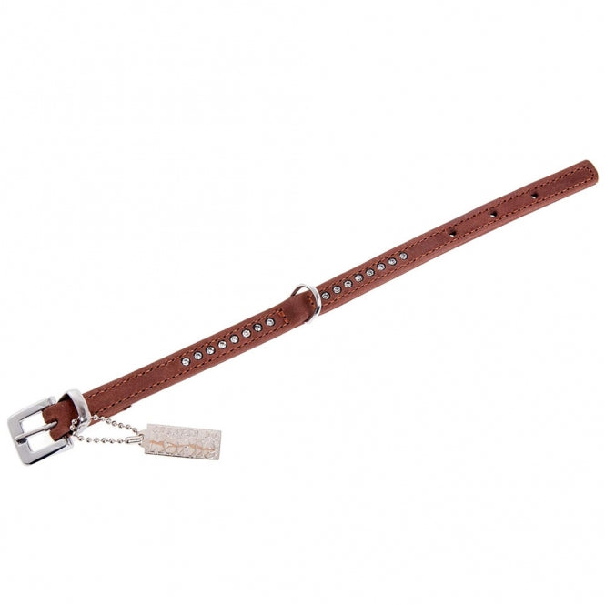 Strass-Halsband für Hunde – Buffalo – Bild 2