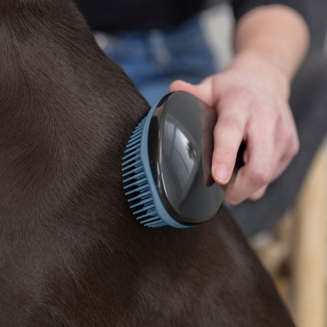 Softbürste für Hunde – schwarz/blau – Bild 5