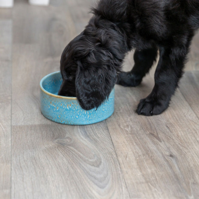 Keramiknapf für Hunde – mit Musterung – Bild 4