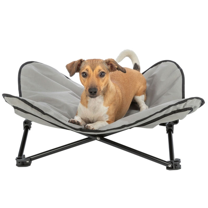 Camping-Bett für Hunde –  – Bild 11