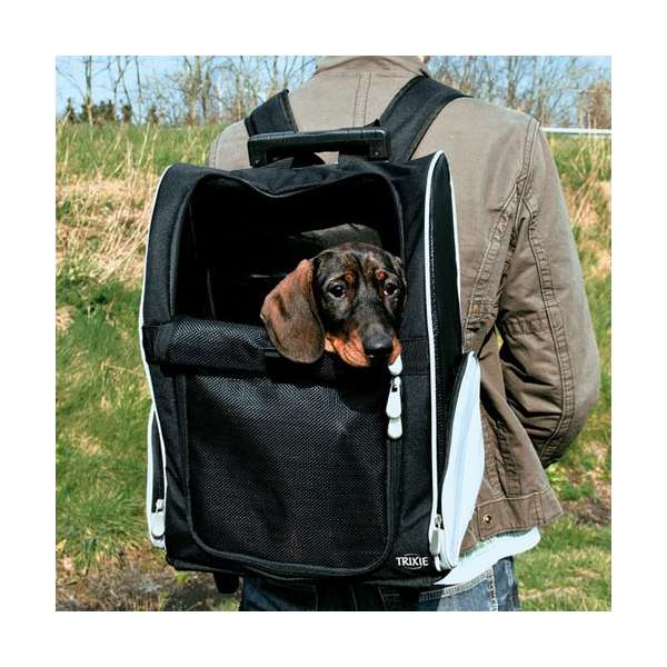 Trolley – für Hunde und Katzen – Bild 3