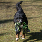 XXL-Kauseil für Hunde –  – Bild 12
