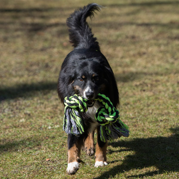 XXL-Kauseil für Hunde –  – Bild 11