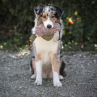 Futterdummy für Hunde – Duck mit Kunstfell – Bild 6