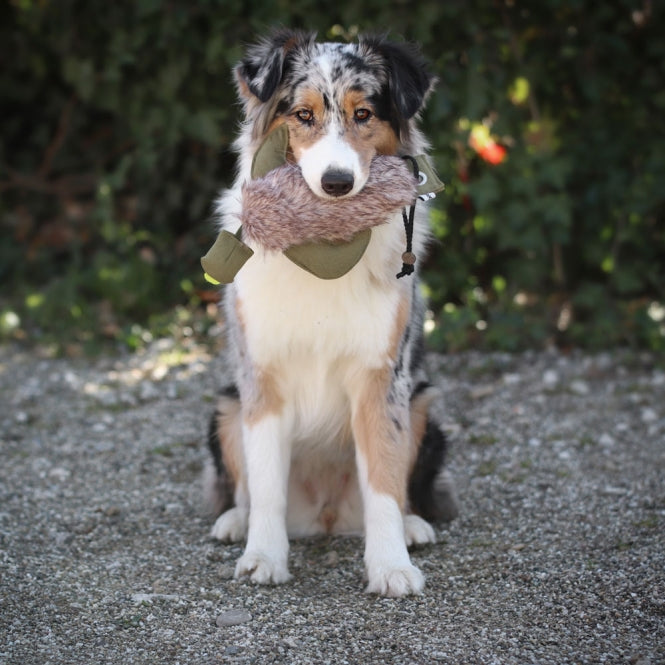 Futterdummy für Hunde – Duck mit Kunstfell – Bild 6