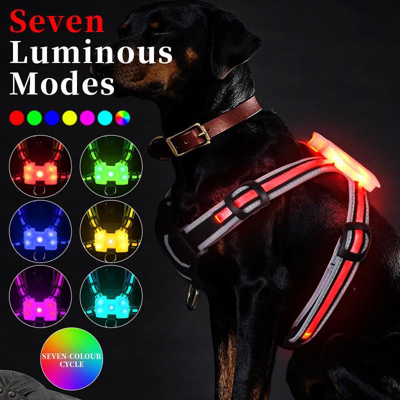 LED Hundeweste – Leuchtende Sicherheitsweste für Hunde bei Nacht