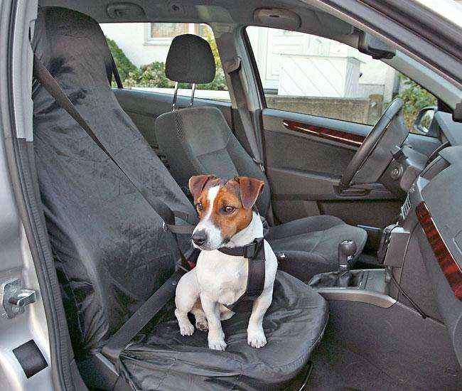 Autositz für Hunde – Vordersitzbezug COVER-UP