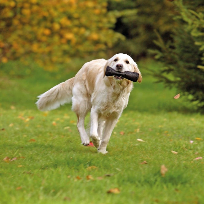 Futterdummy für Hunde – Apportier DUMMY – Bild 5