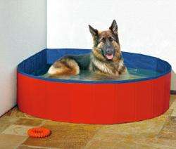 Hundepool – DOGGY POOL der Swimmingpool für Hunde – Bild 2