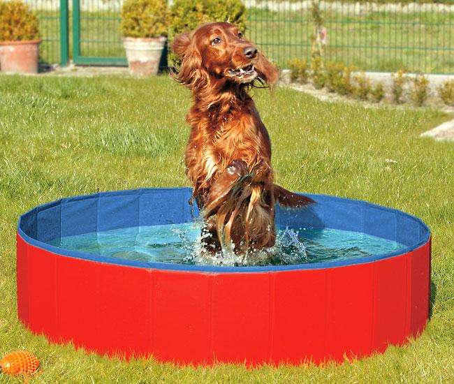 Hundepool – DOGGY POOL der Swimmingpool für Hunde