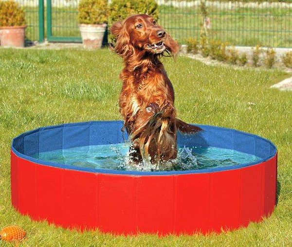 Hundepool – DOGGY POOL der Swimmingpool für Hunde