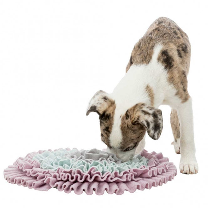 Intelligenzspielzeug für Hunde – Junior Schnüffelteppich, 38 cm – Bild 5
