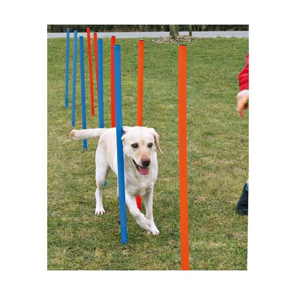 Agility Zubehör für Hunde – Slalom – Bild 3