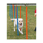 Agility Zubehör für Hunde – Slalom – Bild 3