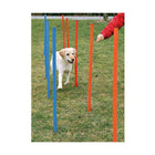 Agility Zubehör für Hunde – Slalom – Bild 2