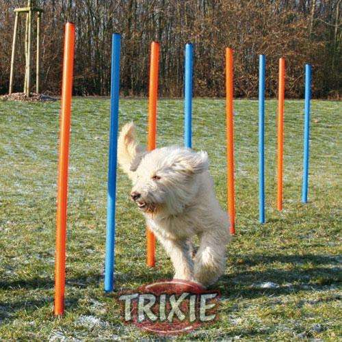 Agility Zubehör für Hunde – Slalom