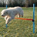 Agility Zubehör für Hunde Hürde | Trixie