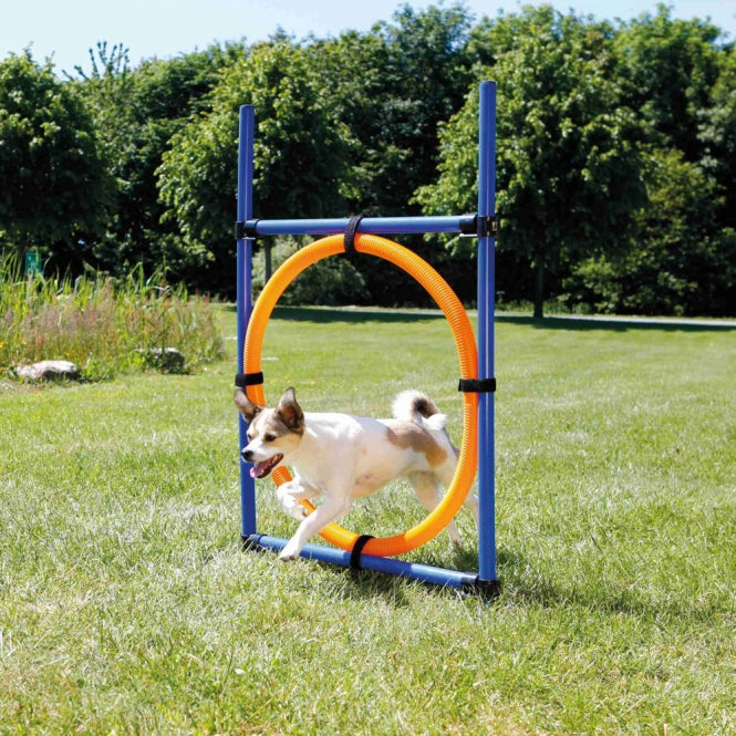 Agility Zubehör für Hunde –  – Bild 2