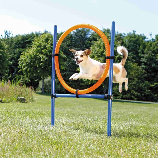 Agility Zubehör für Hunde – 