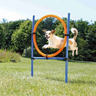 Agility Zubehör für Hunde – 