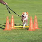 Hundetraining Zubehör – Pylonen-Hindernis 2er ø 30 × 50 cm/100 cm