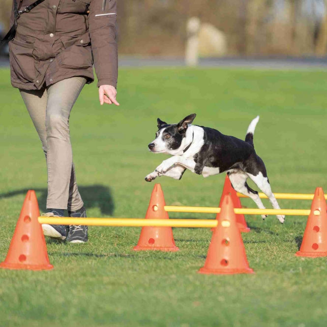 Hundetraining Zubehör – Pylonen-Hindernis 3er ø 23 × 30 cm/78 cm