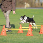 Hundetraining Zubehör – Pylonen-Hindernis 3er ø 23 × 30 cm/78 cm