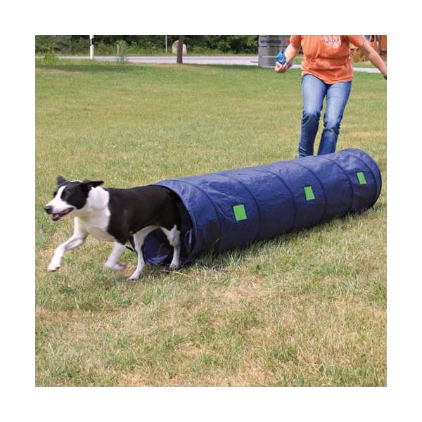 Tunnel – Agility für kleine Hunde / Welpen