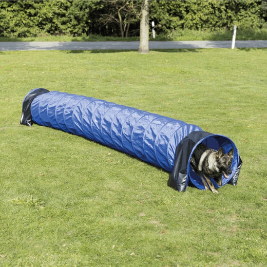 Tunnel – Agility für mittlere/größere Hunde