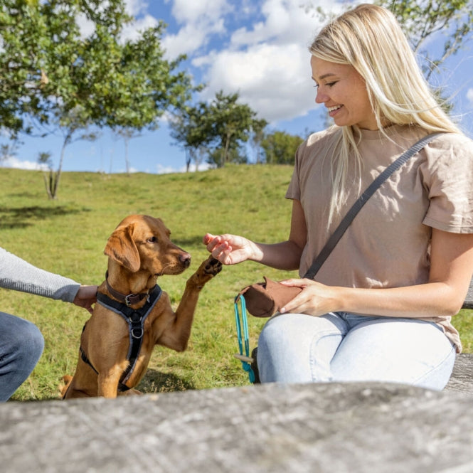 Preydummy für Hunde –  – Bild 3