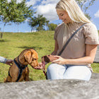Preydummy für Hunde –  – Bild 4